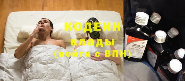 прущие грибы Заволжск