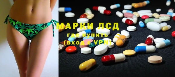 прущие грибы Заволжск