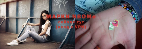 прущие грибы Заволжск