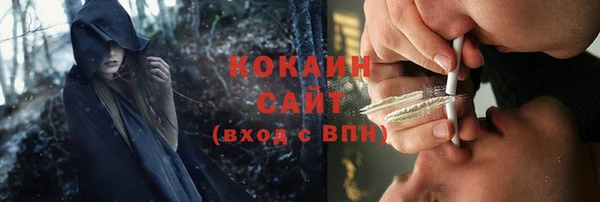прущие грибы Заволжск