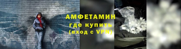 прущие грибы Заволжск