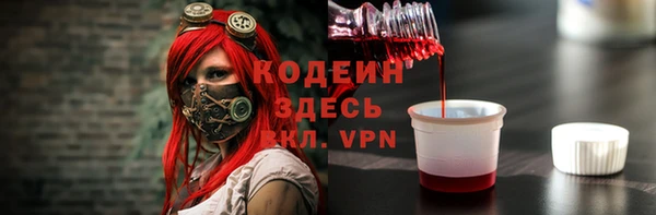 прущие грибы Заволжск