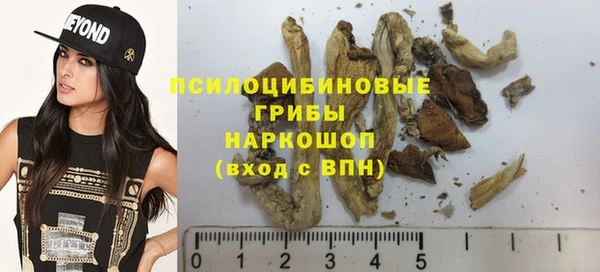 прущие грибы Заволжск
