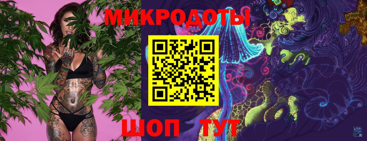Снежинск  Псилоцибиновые грибы Cubensis  Вход с VPN 
